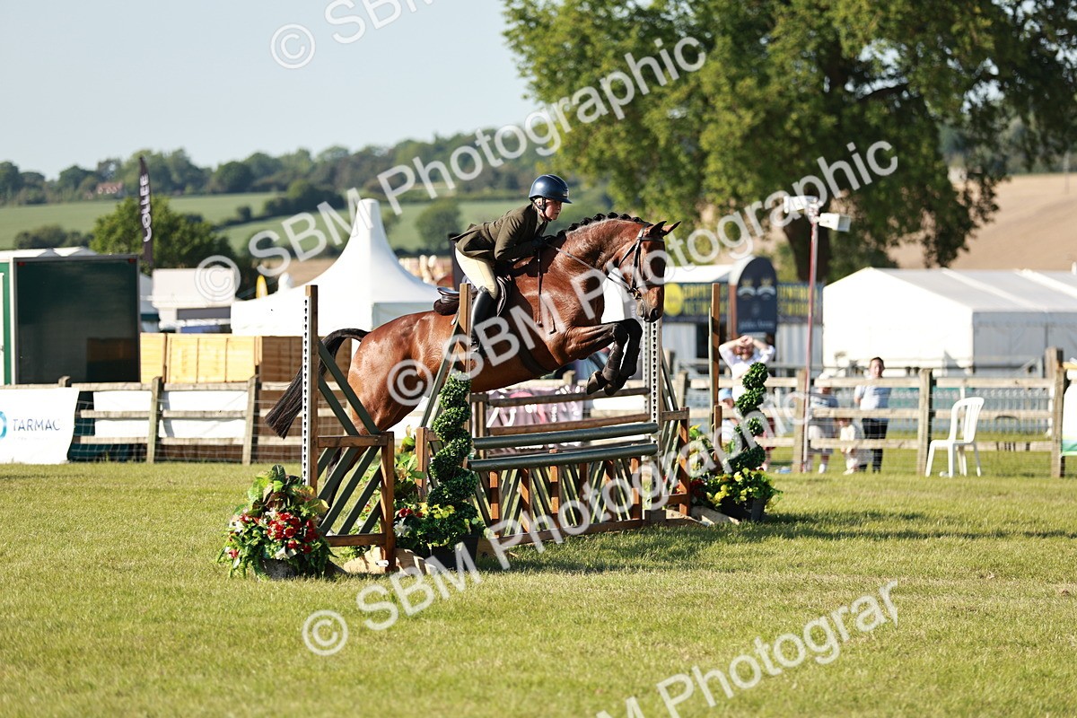 SBM_19959 - Class 115-116 - LIHS BSHA Rising Star Working Hunter & Show Horse
