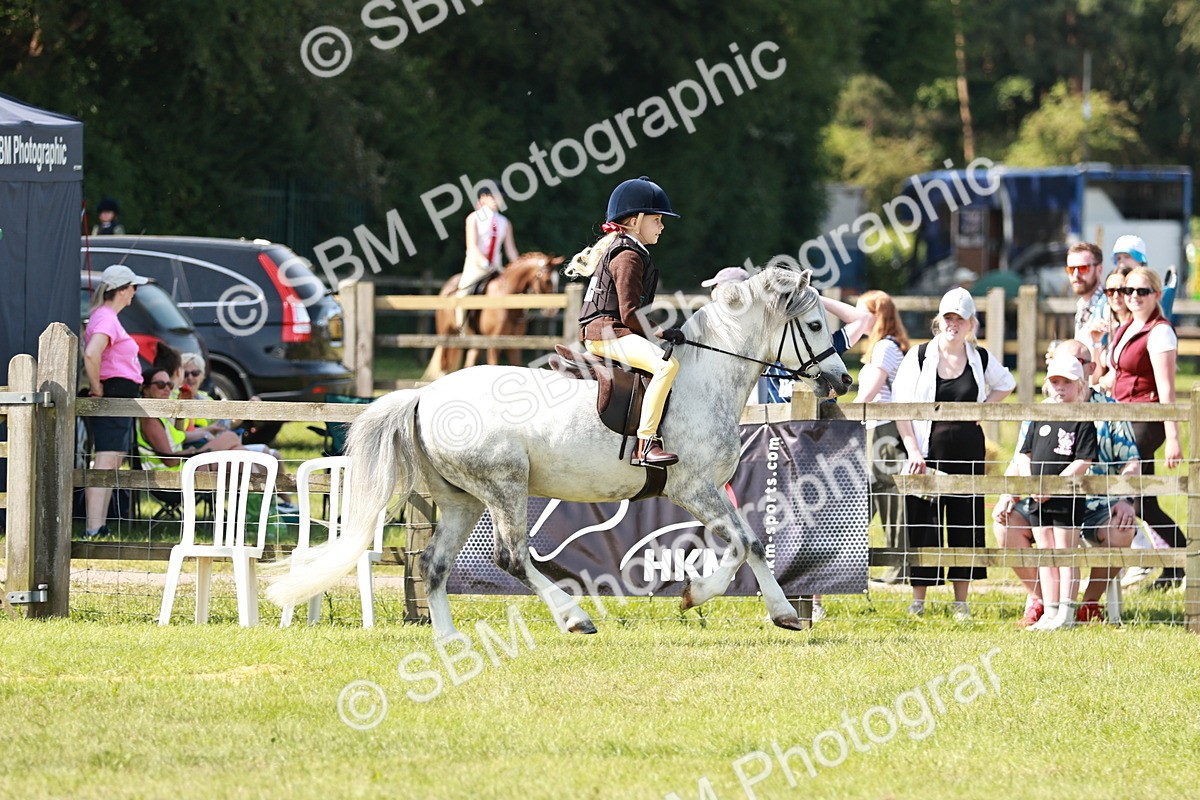 SBM_12787 - Class 106-107 - BSPS LIHS Working Sports Pony
