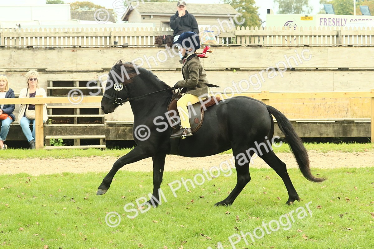 SBM_69972 - S59 - Mountain & Moorland Ridden Small Breeds