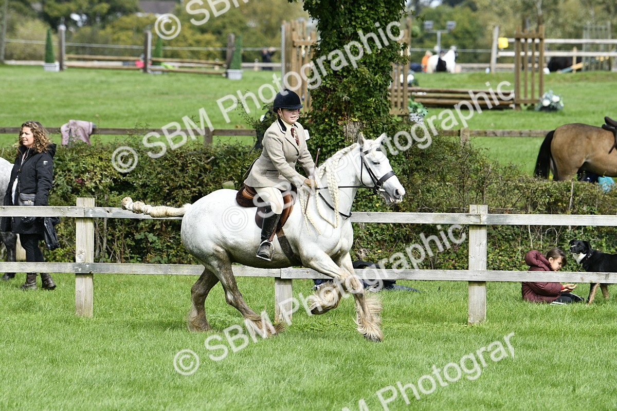 SBM_41576 - S32 - Mountain & Moorland Working Hunter Pony