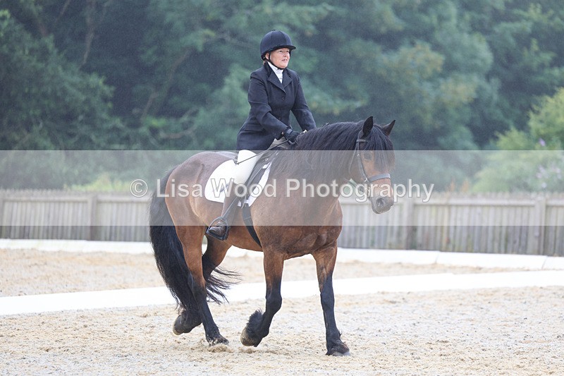 3E7A8139 - Class 1: Intro 3 2024 section A