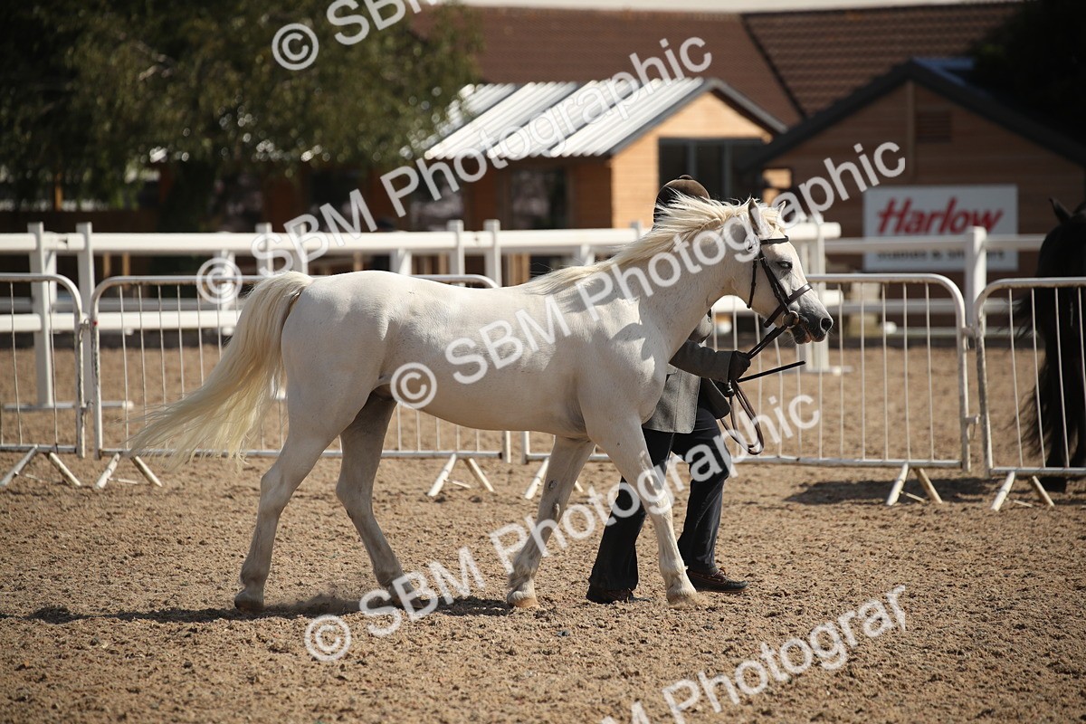 SBM_23549 - Class 605 - 2026 - Area - IH Veteran