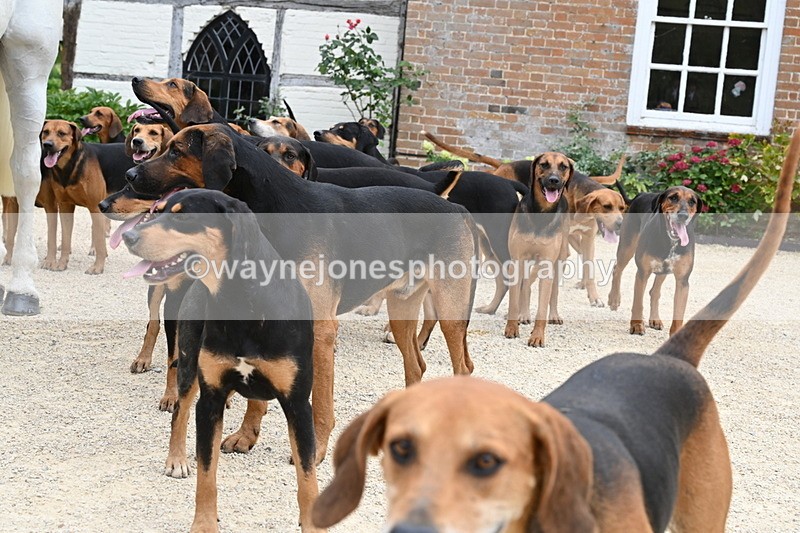 WJ6_3563 - Berks & Bucks - The Old farmhouse - Hound Exercise 20-08-25
