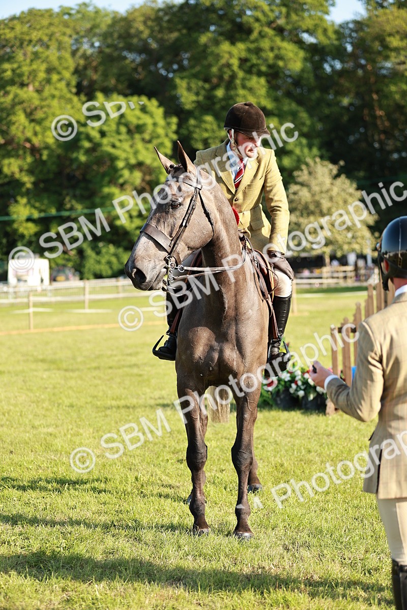 SBM_20176 - Class 117-119 - Sport Horse Working Hunter