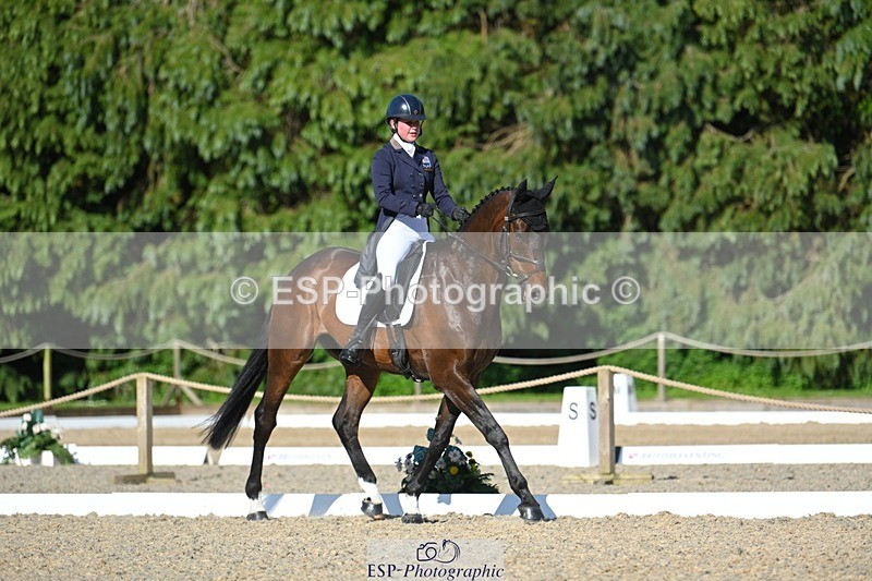 230526-172610-07601 - 263-CARWARTHEN_HARRIER-Polly_Muirhead-WEDTrotUp+DR