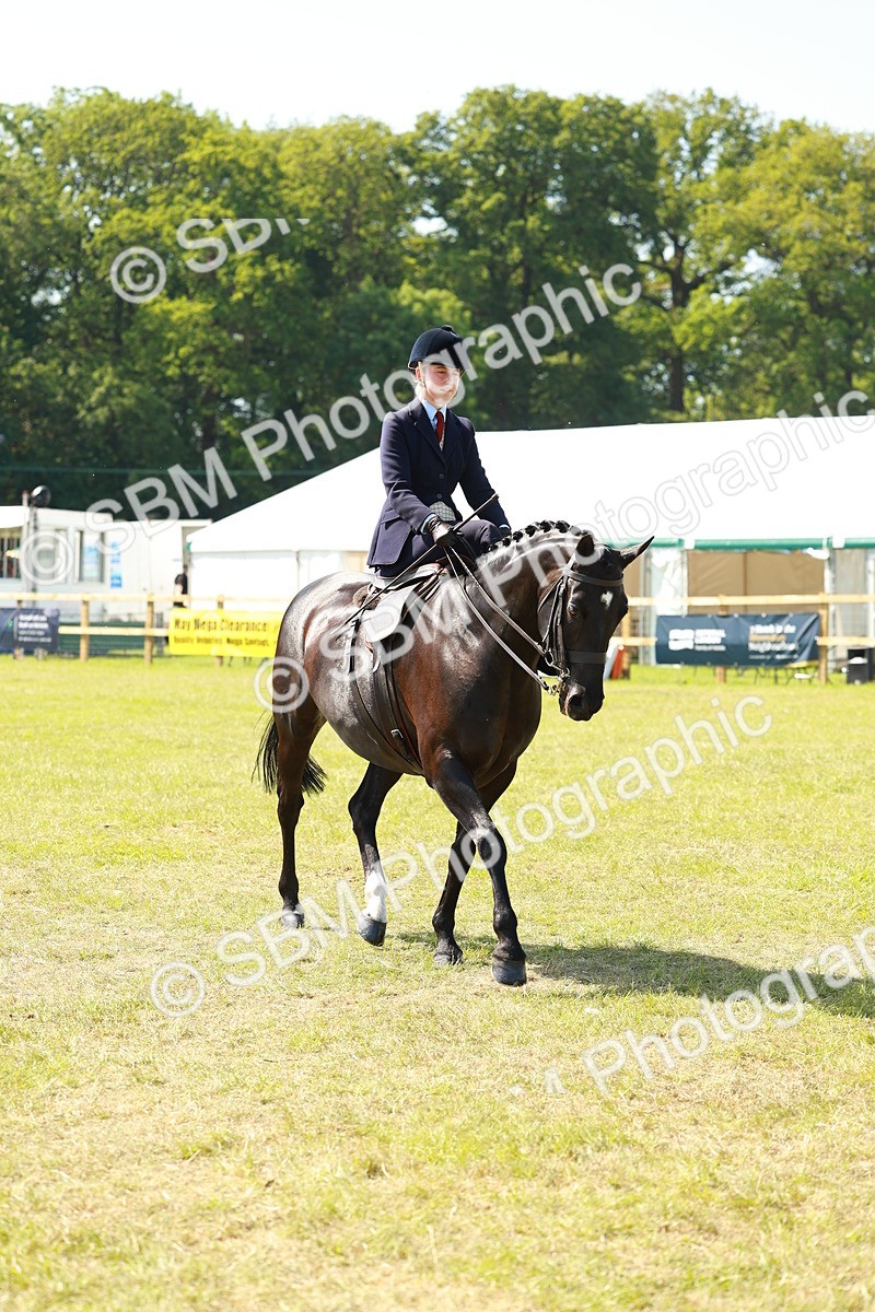 SBM_13218 - Class 70-71 - Side Saddle