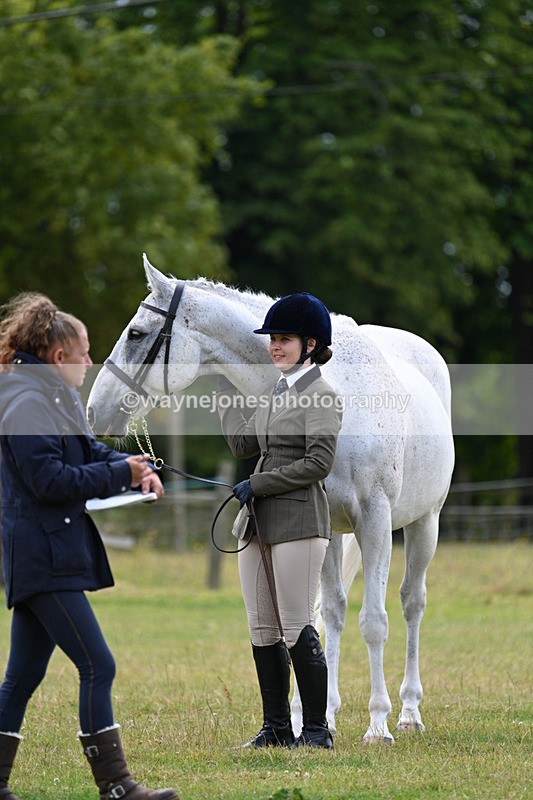 WJ7_7060 - Class 5a Most Handsome Gelding in Hand