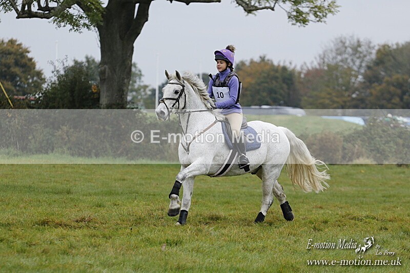 WWHT 181020 WWHT 181020 415 - WWEC Open Novice (0.80m) 18/10/20