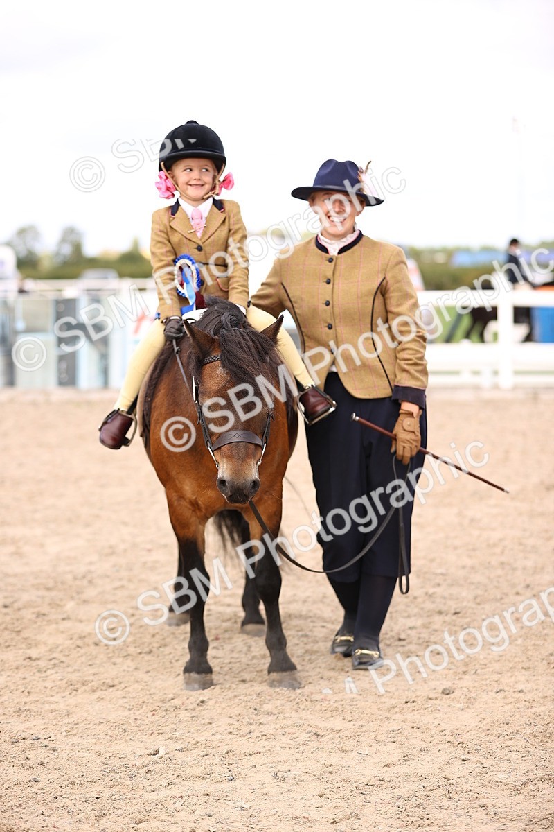 SBM_16177 - Class 420 - Horse-Pony Judge would most like to take home (IH or Ridden) Jnr
