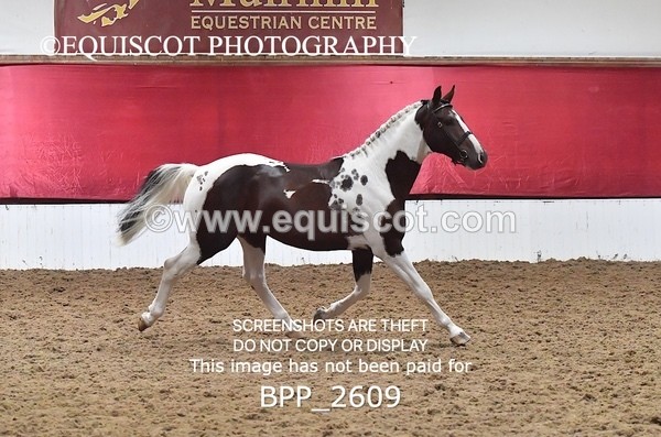 BPP_2609 - LOOSE JUMPING / SPSS