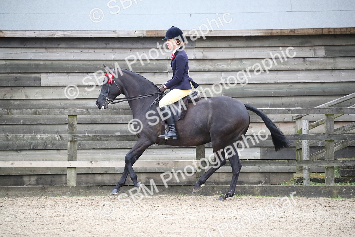 SBM_004714 - Class 5-9 - NPS In Hand-Show Hunter-Intermediate Ridden Inc Ridden Championship