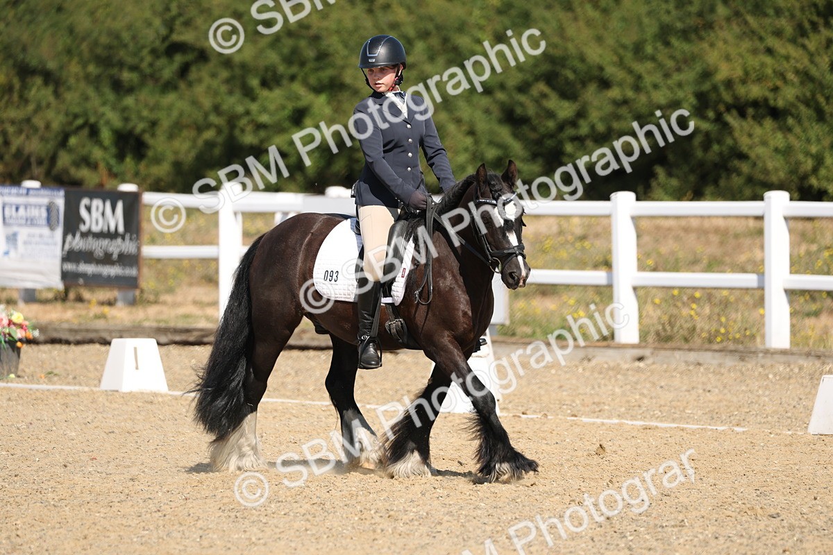 SBM_013527 - Class 1 - P5 Bronze 10.38.12.02