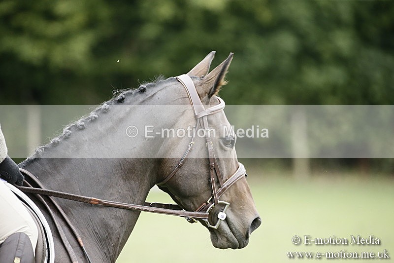 BVR080918 230 - BVRC Novice Dressage & CR 08/09/18
