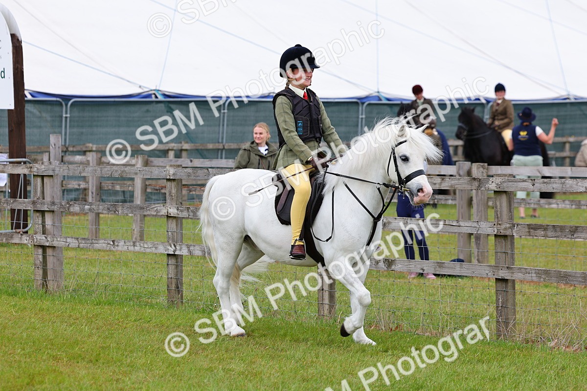 SBM_08518 - Class 42-43 - LIHS BSPS Heritage Working Sports Pony