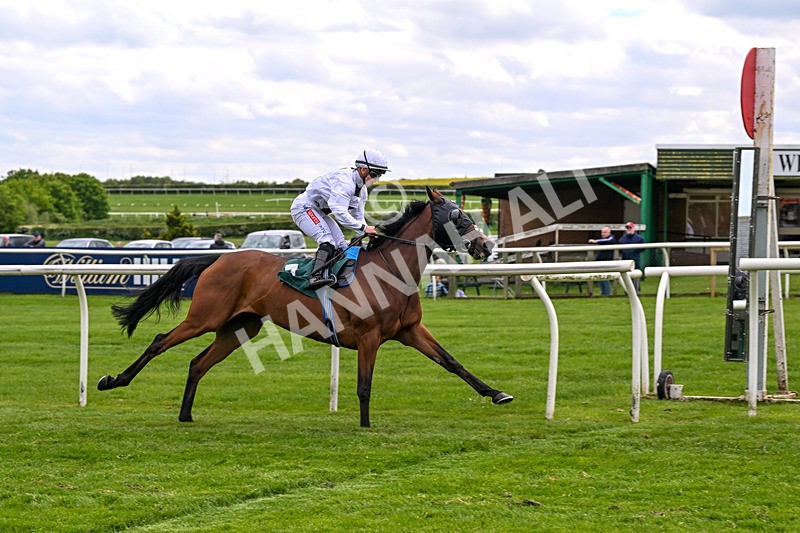 110526-Race 3-Laravie-0700 - Race 3 3.30pm Mick Rose Turns 70 Handicap