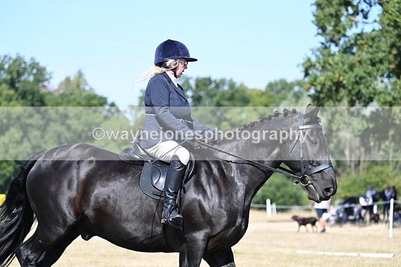 WJ7_9897 - Time 11:03 to 11:28