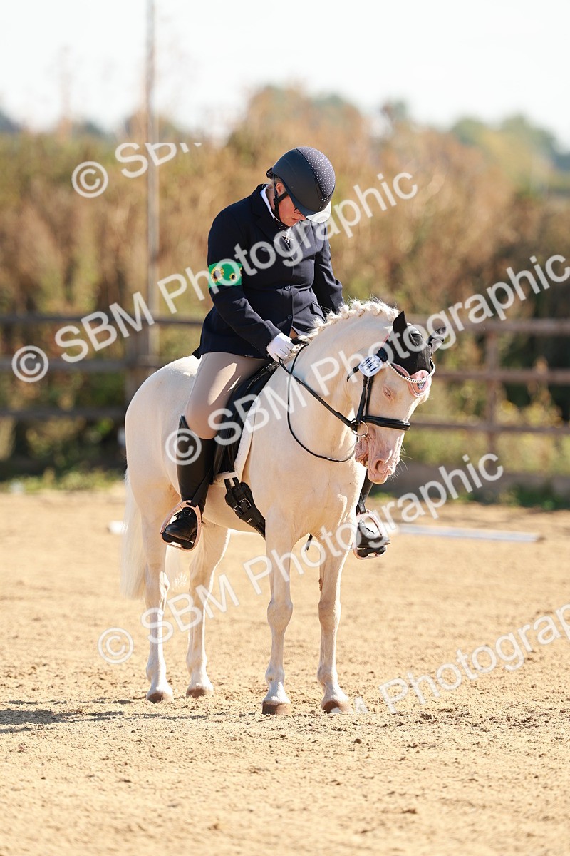 SBM_009312 - Class 2 - Intro 3