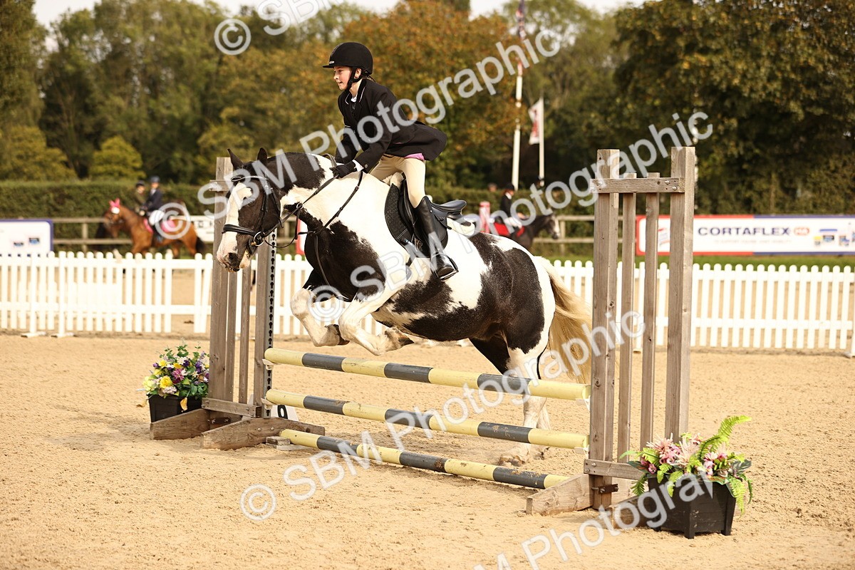 SBM_69695 - J13 - Junior Pony 60cm Championship