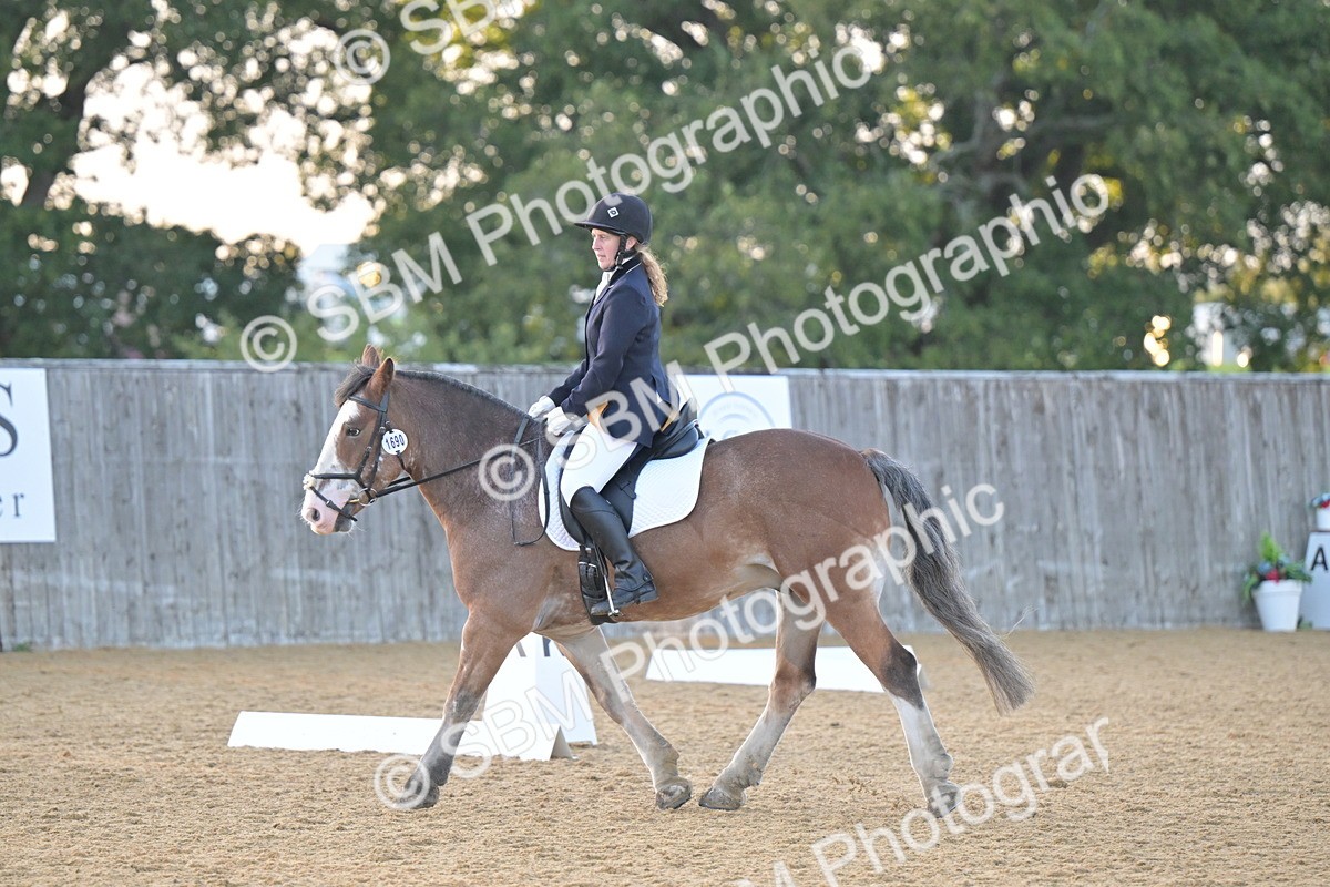 SBM_13546 - D3 - Small Tour Championship Intro 3