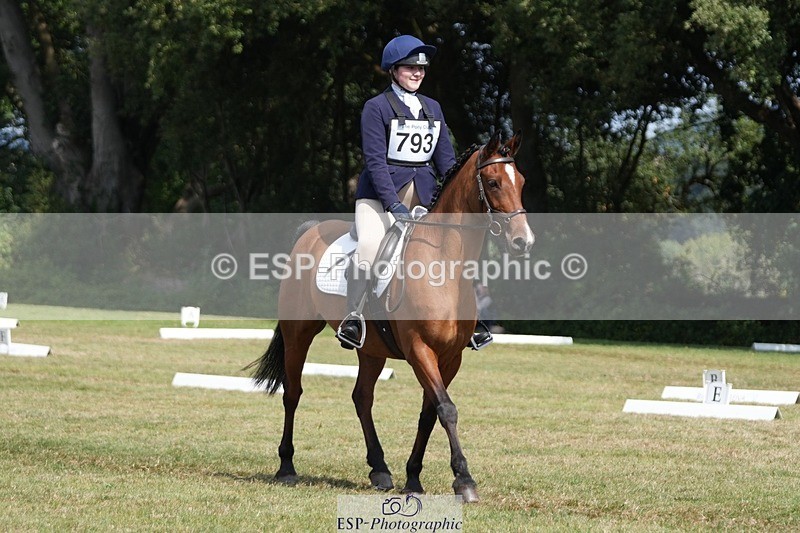 250823A-135422-31089 - Arena B