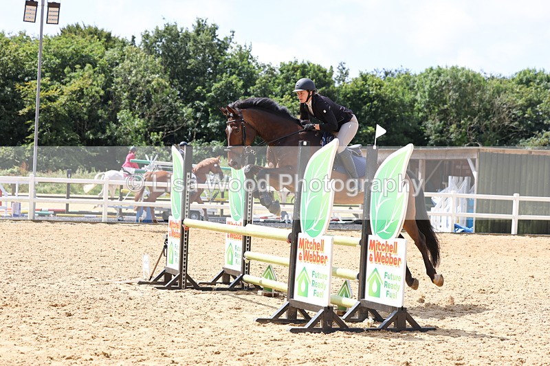 3E7A0215 - Class 9: Senior British Novice/90cm open