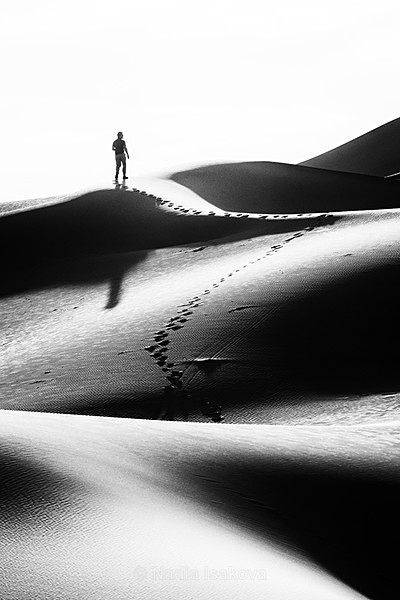  - Black & White