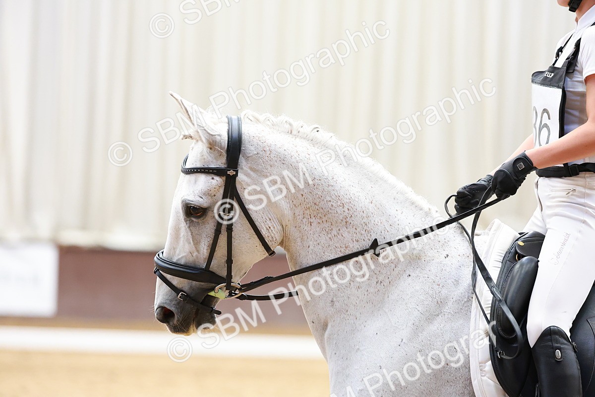 SBM_011869 - Class 9 - CT P2-70cm-80cm-90cm - CT BE92