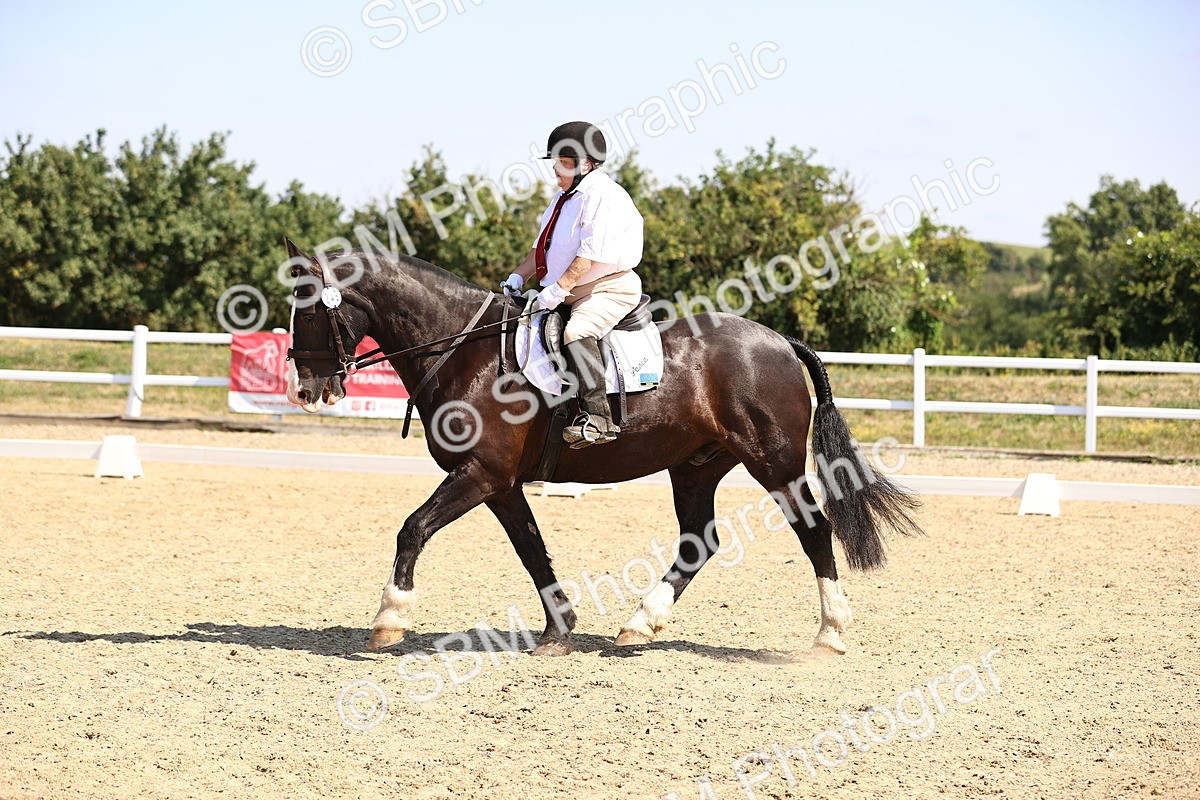 SBM_003617 - Intro 2
