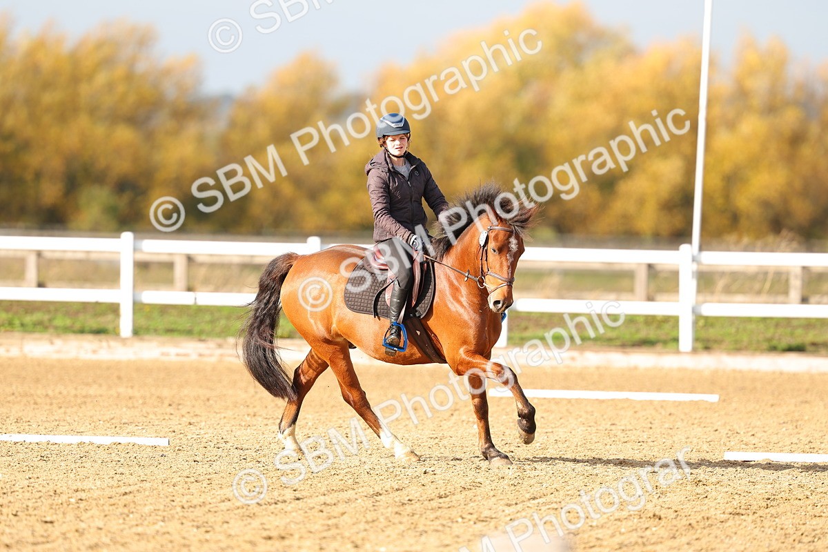 SBM_001211 - Class 13-4-9 - DR P3 CT P3 70cm CT PYO