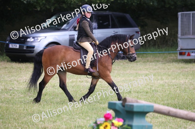 20260614-1827 - Class 21 - Novice Working Hunter Pony