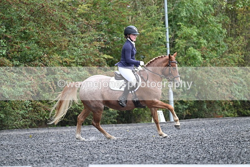 WJ7_3751 - Time 11:04 to 11:38