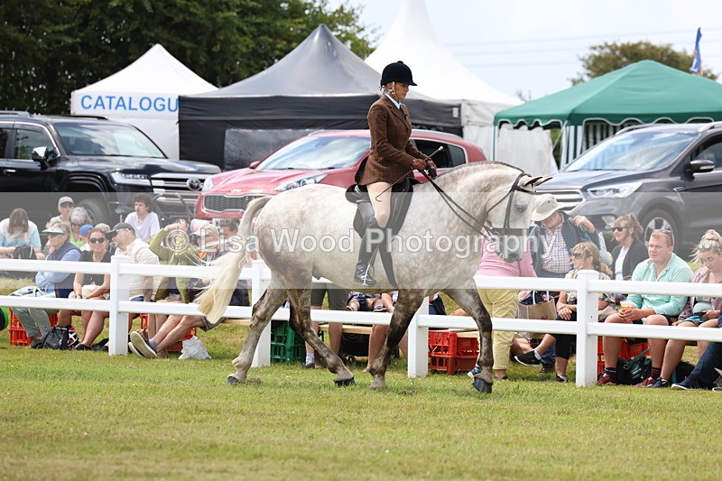 3E7A1877 - Class 10: Open Cob