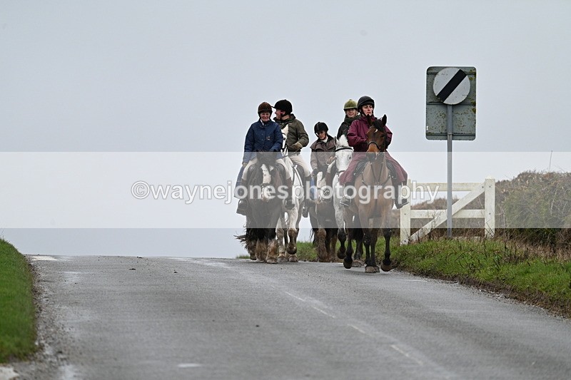 WJ7_8852 - Berks & Bucks - Rowles Farm 15-02-26