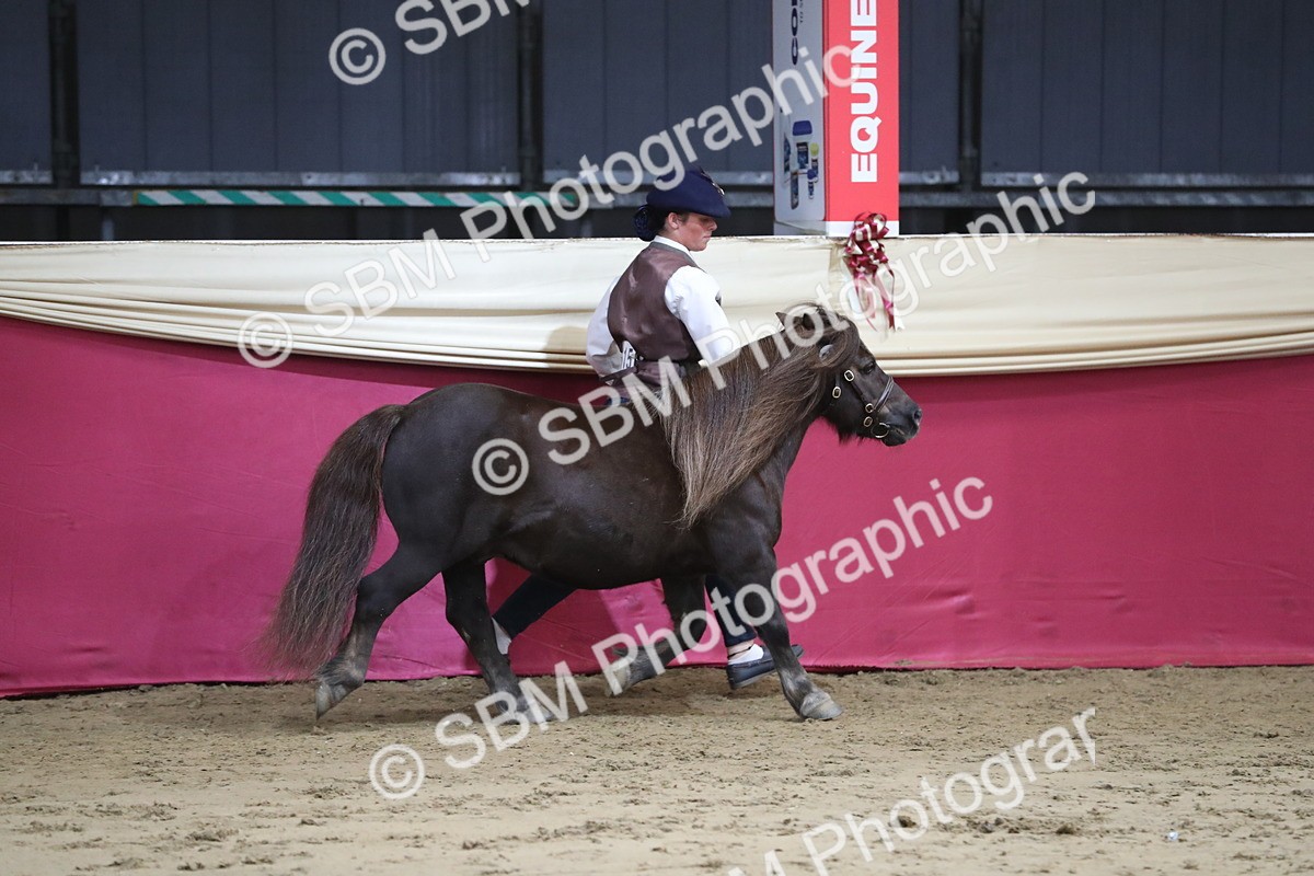 SBM_05008 - Class 8R- Regional -IH Veteran