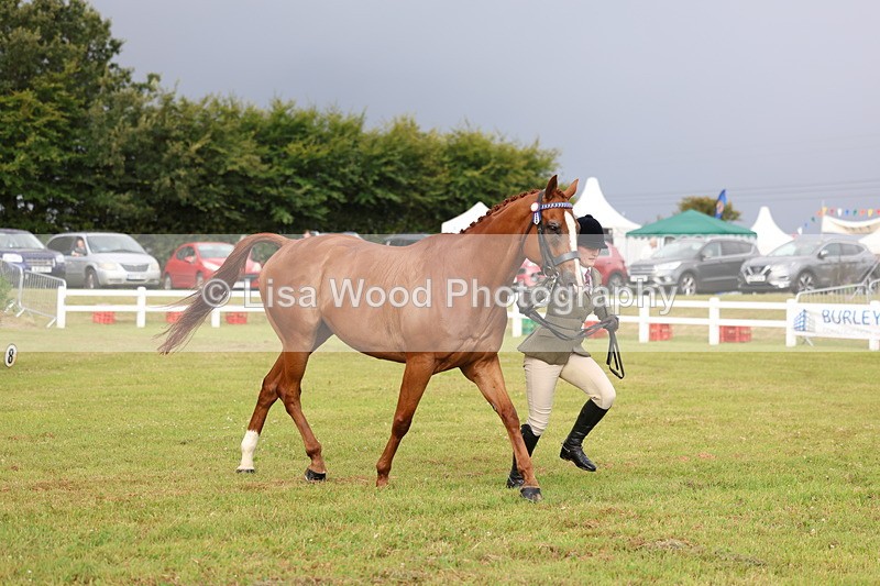 3E7A7900 - Class 1: Rising Star Small Hack/Riding Horses