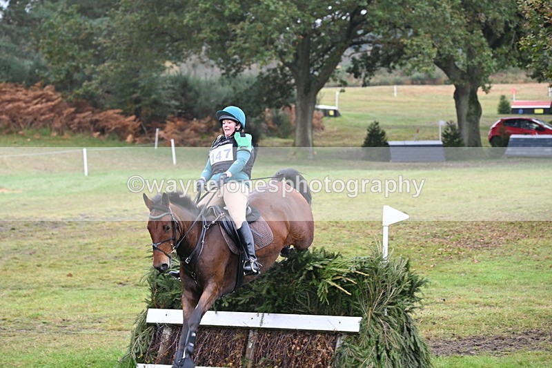 WJ6_2406 - 80cm Cam 1 Time 11:23 to 12:04