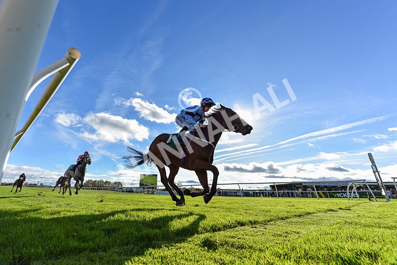 291024-Race 2-Ninety Nine-8589