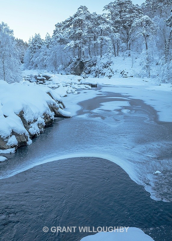 Glen Affric 3 - Vertical Images
