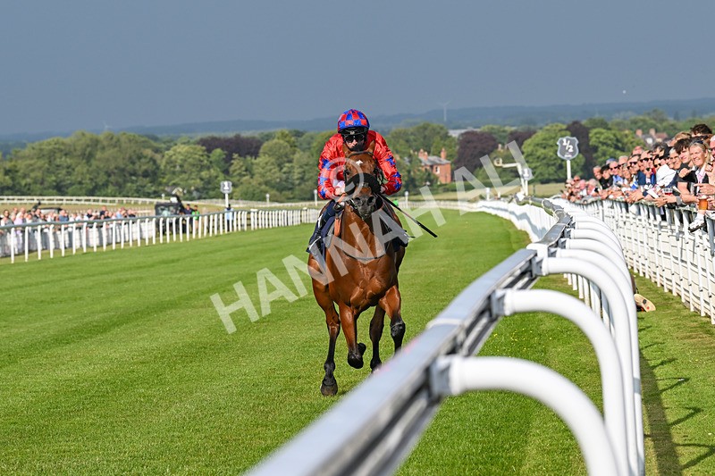 170625-Race 1-Command The Stars-5600 - Race 1