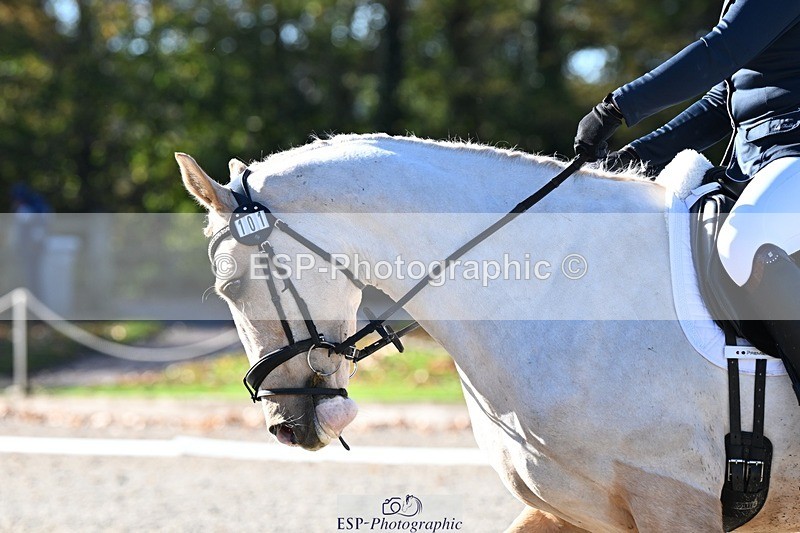 231110-111245-00348 - Cls 2 Prelim 17(a)Q