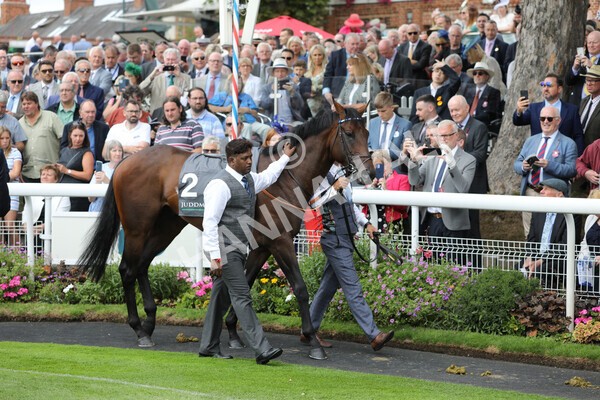 yr17082022r4-6 - Race 4 3.35pm Juddmonte International Stakes (British Champions Series Race)