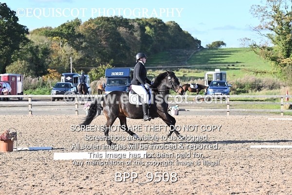 BPP_9508 - SHORT ARENA
