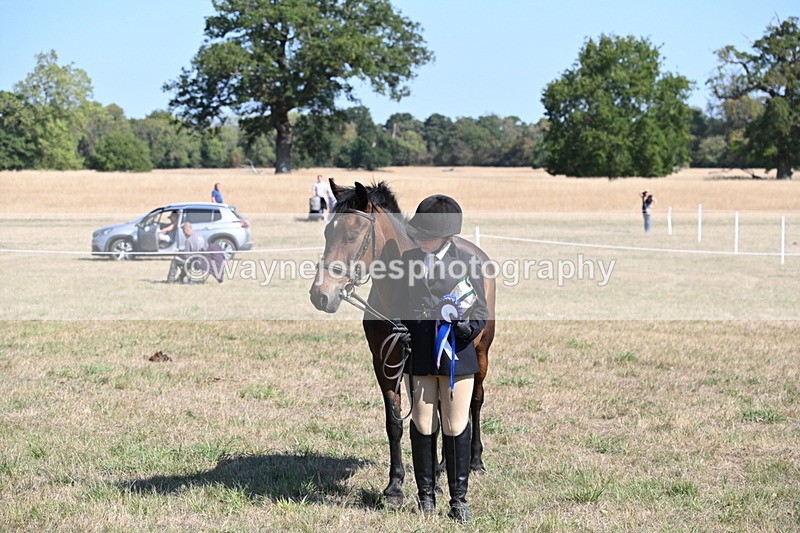 WJ6_7671 - Class 34 Judges Choice