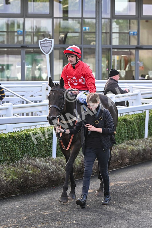 021024-Race 6-Redrosezorro-9667 - Race 6