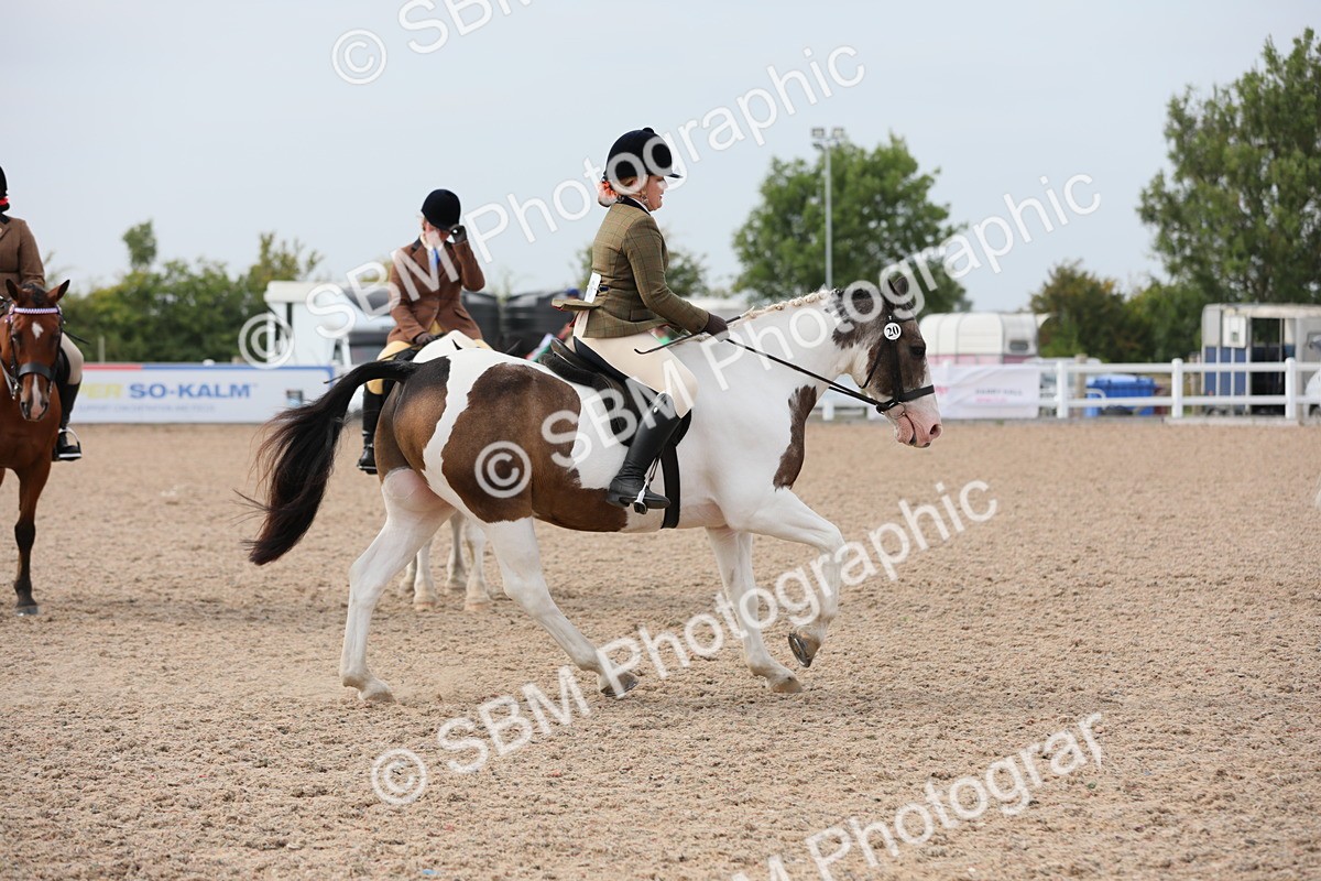 SBM_16986 - Class 314 Family Horse/Pony