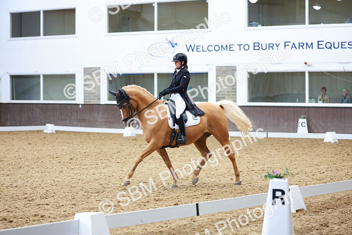 SBM_021273 - Class 25 - FEI PSG Bronze