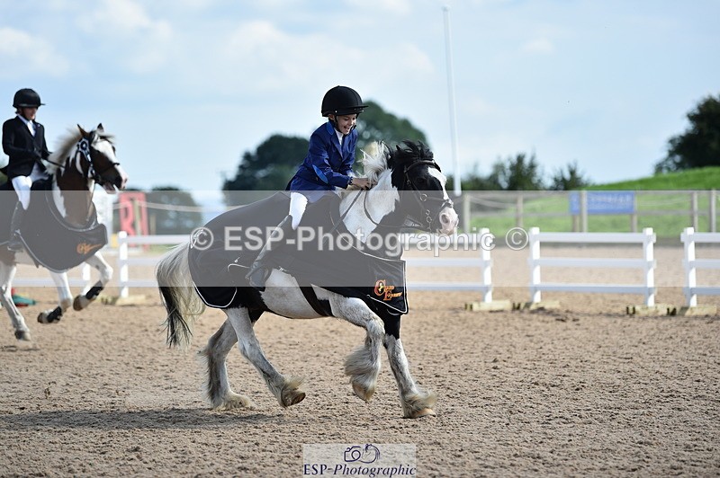 230902A-145452-01850 - Cls 3B Pony Medium 90cm