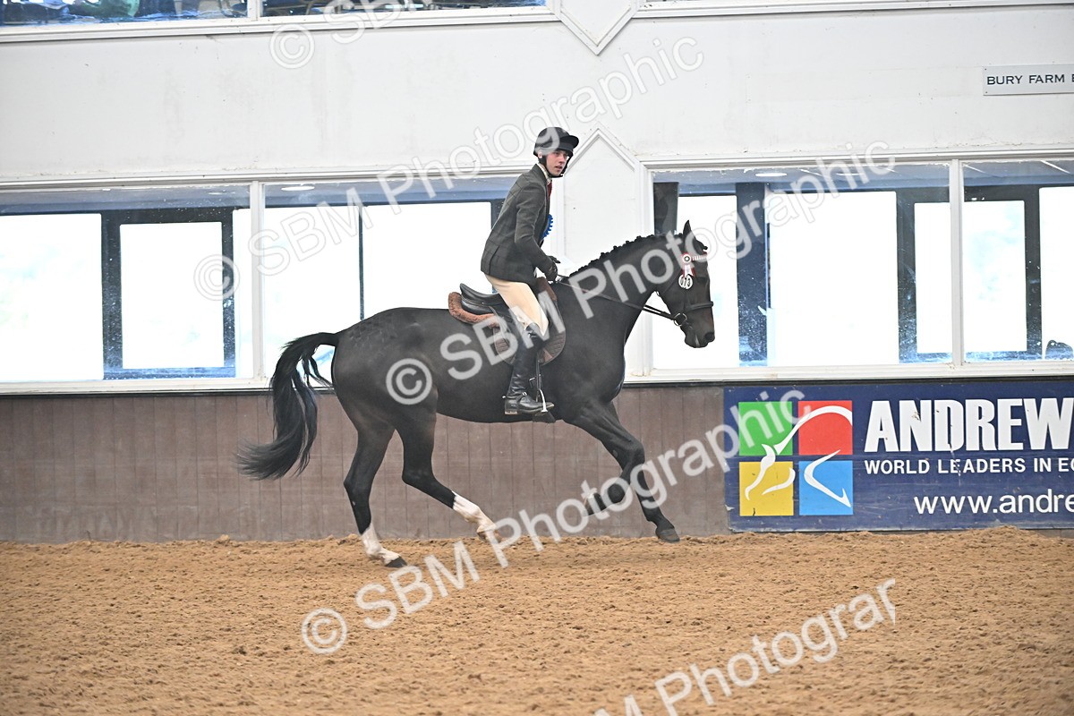 SBM_002412 - Class 22 - BSHA Ridden Hack & Riding Horse