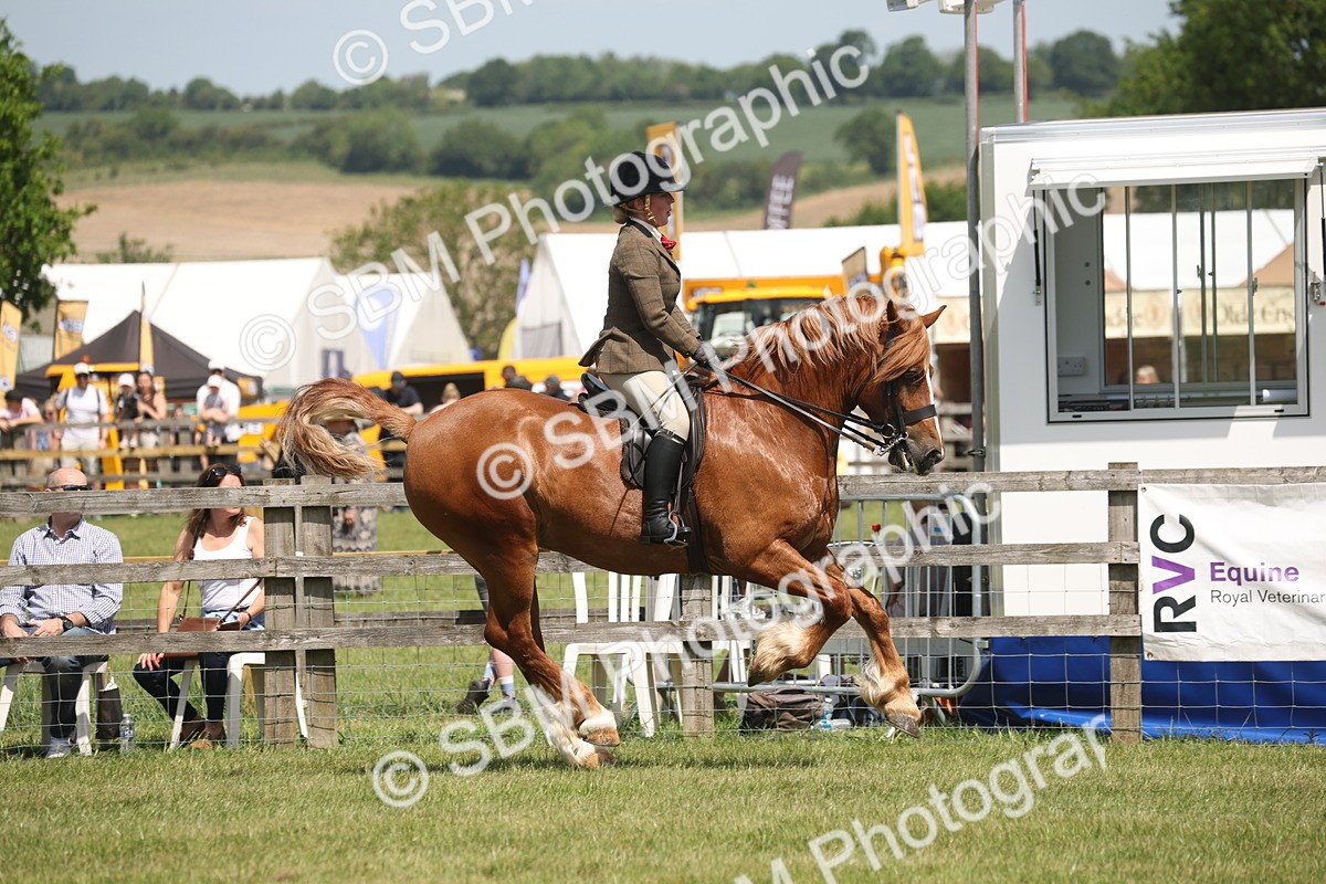 SBM_06967 - Class 26-30 - Mountain and Moorland Ridden