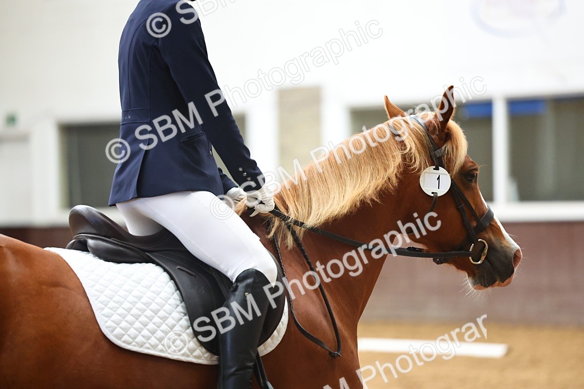 SBM_004049 - Class 1 - Intro 2-3